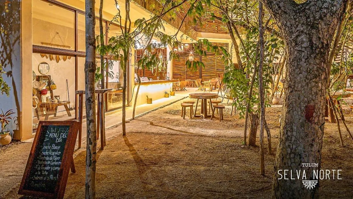 Apartman Condo Family In The Jungle With Cenotes And Big Pool Tulum