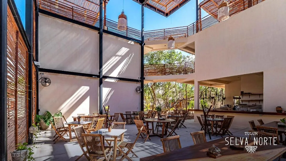 Condo Family In The Jungle With Cenotes And Big Pool Tulum 0*,