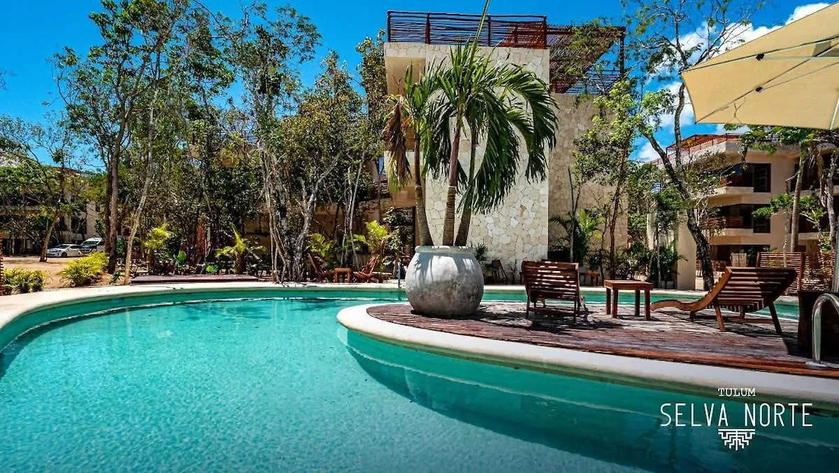 Condo Family In The Jungle With Cenotes And Big Pool Tulum Mexikó