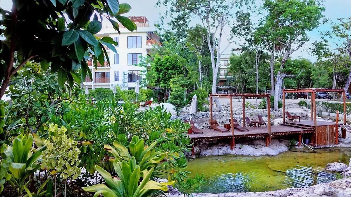 Condo Family In The Jungle With Cenotes And Big Pool Tulum