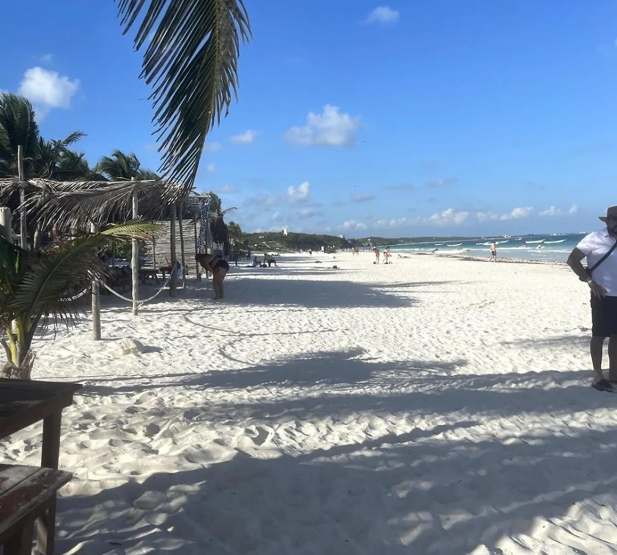 Condo Family In The Jungle With Cenotes And Big Pool Tulum Apartment