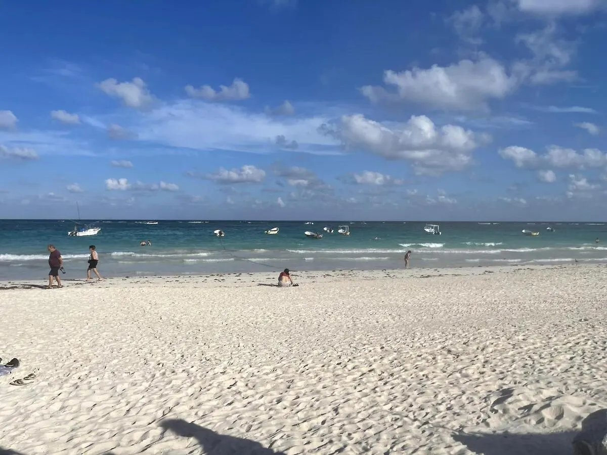 Condo Family In The Jungle With Cenotes And Big Pool Tulum 0*,