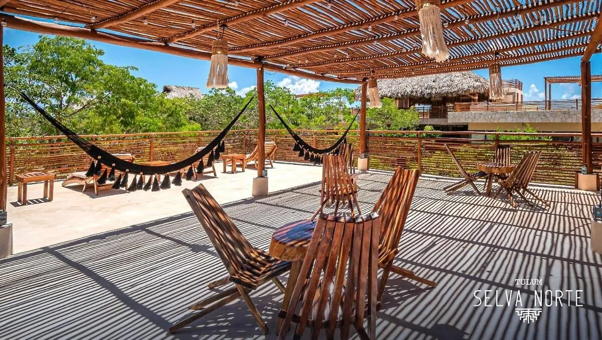 Condo Family In The Jungle With Cenotes And Big Pool Tulum
