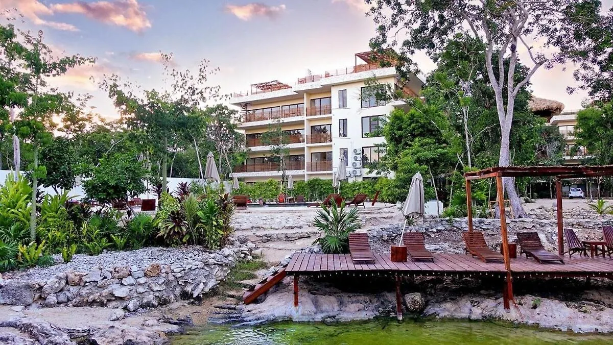 Condo Family In The Jungle With Cenotes And Big Pool Tulum